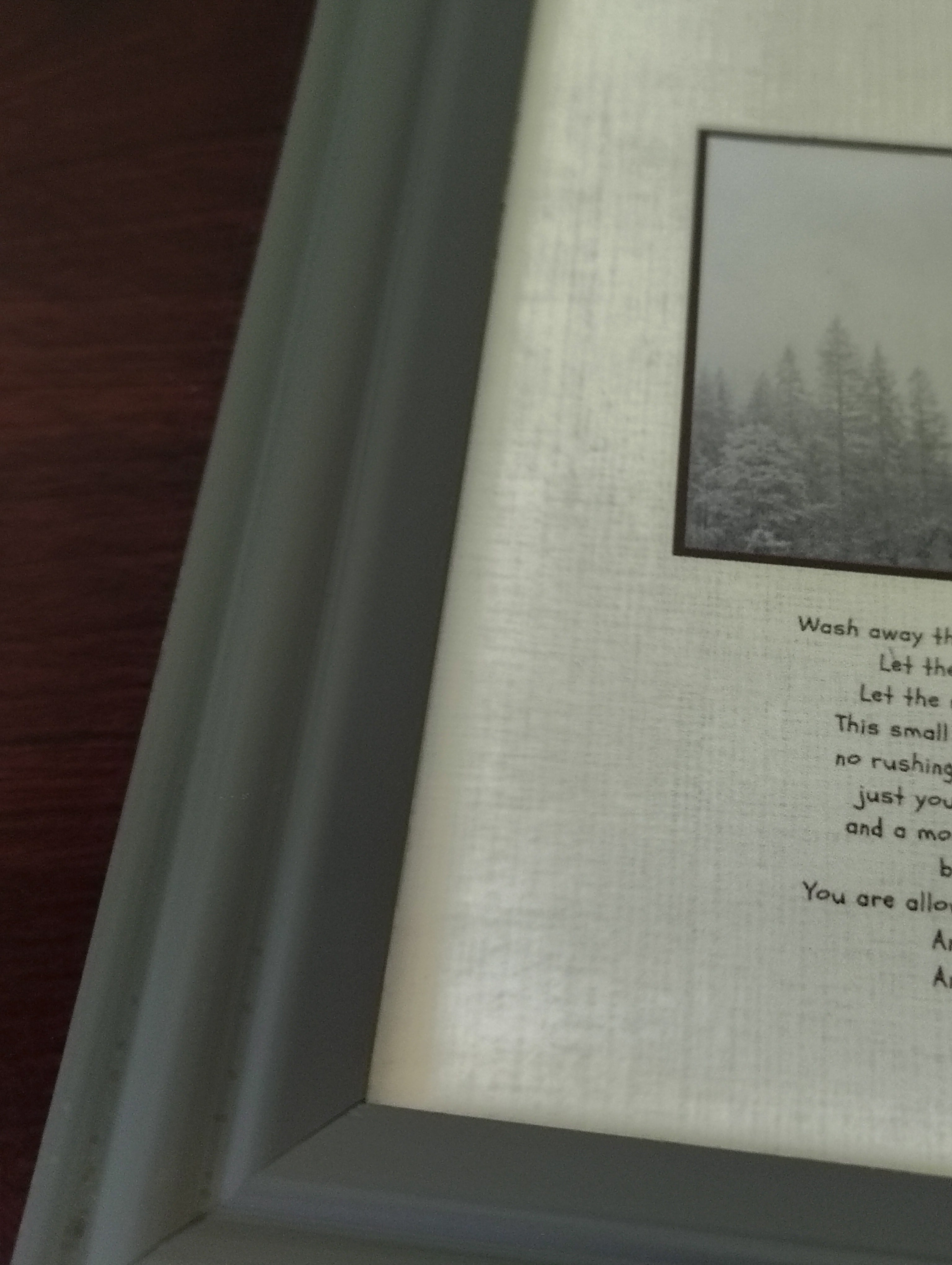 Wash Away the Noise | Treeline Poem Print