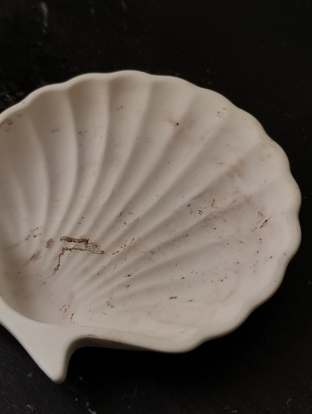 The Zariah Seashell Dish