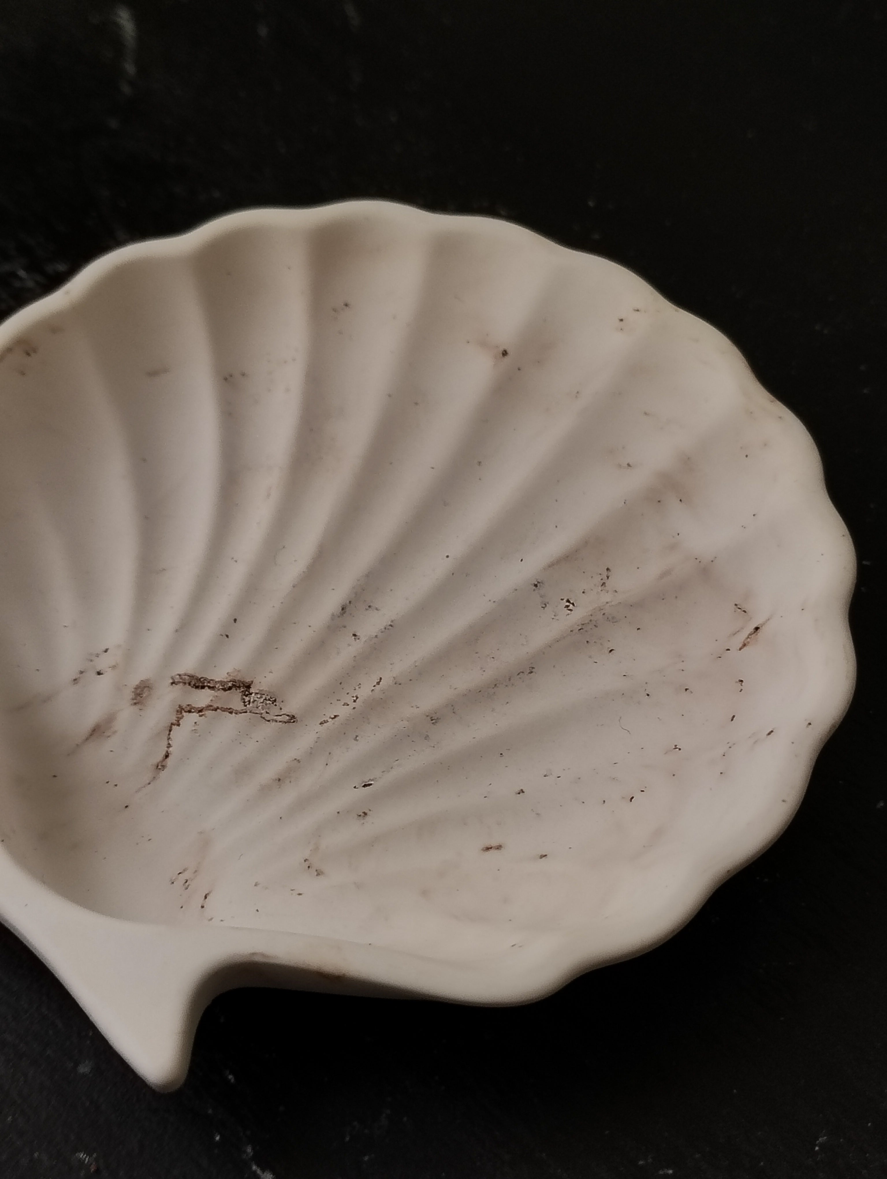 The Zariah Seashell Dish