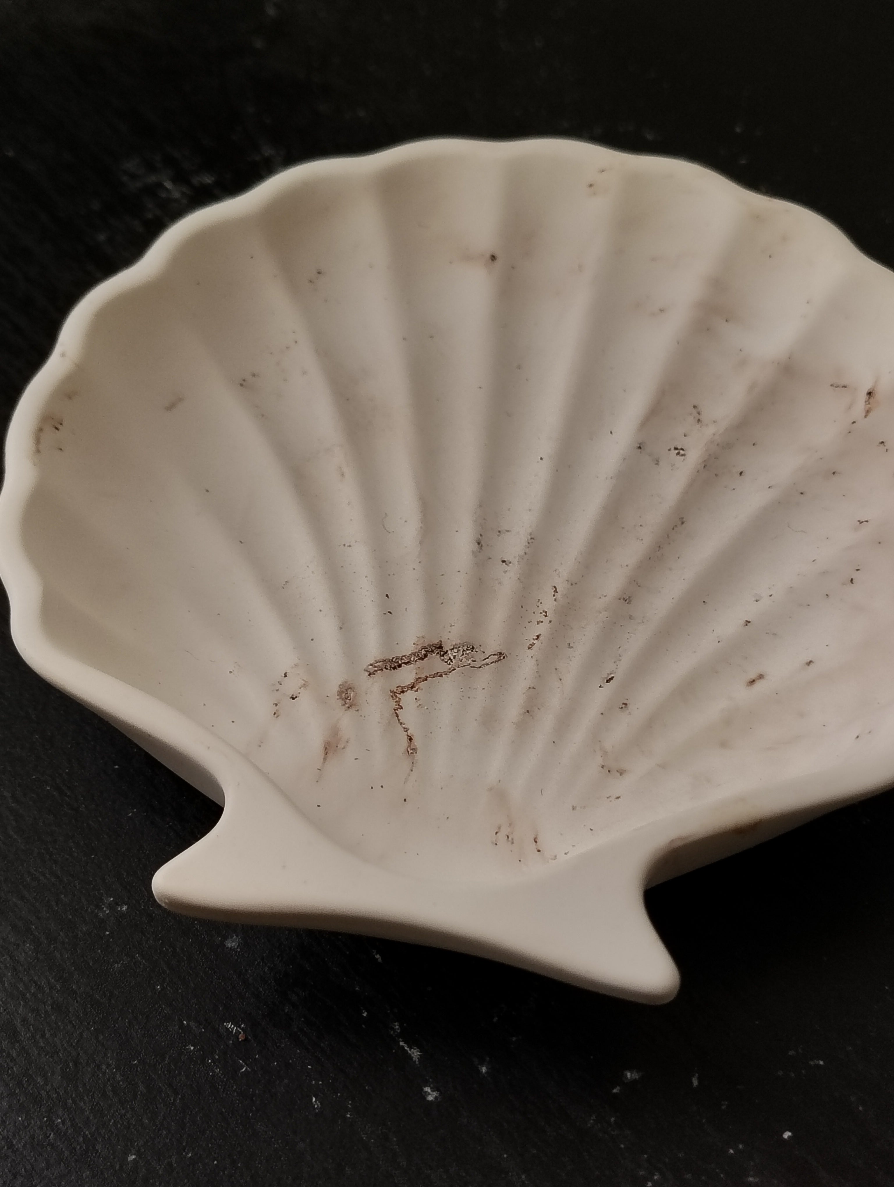The Zariah Seashell Dish