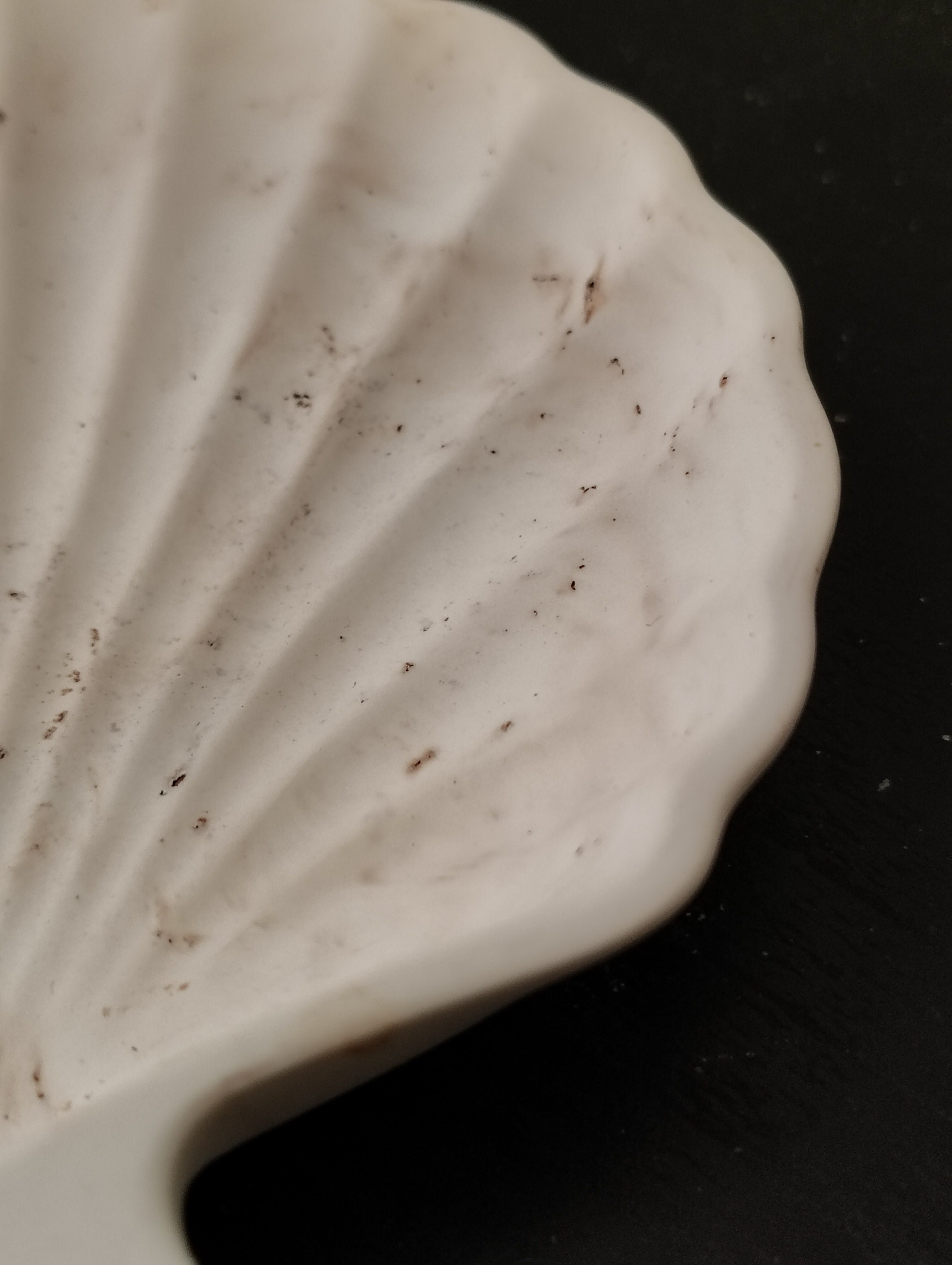 The Zariah Seashell Dish